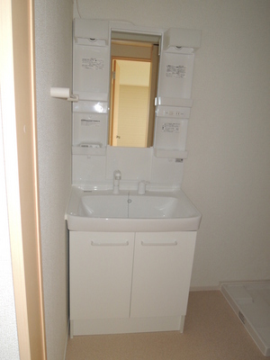 Washroom. Shampoo dresser with separate wash basin! 