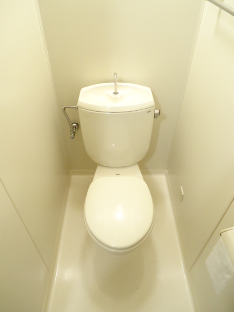 Toilet. Bright and spacious your toilet