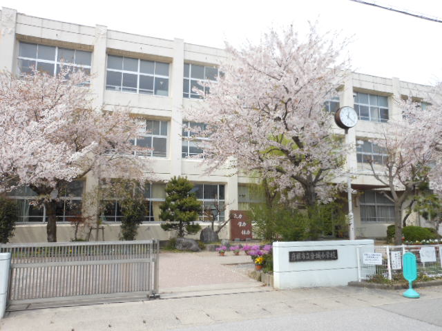 Primary school. 523m to Hikone Municipal Kaneshiro elementary school (elementary school)