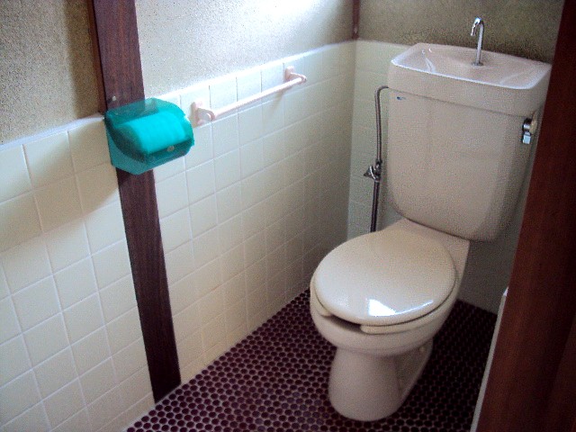 Toilet