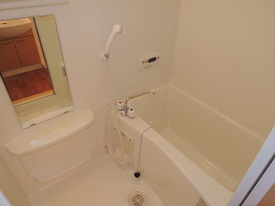 Bath. Add-fired, Bathroom drying function with bus