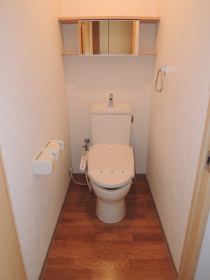 Toilet. Bidet, Heating toilet seat with toilet