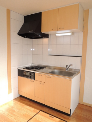 Kitchen. Popular system Kitchen. "Two-burner stove, With grill
