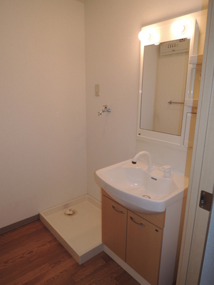 Washroom. Shampoo dresser with separate wash basin