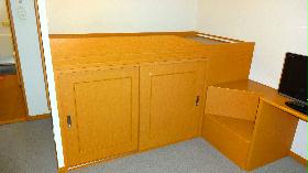 Living and room. Bed room with. Under the bed is a spacious storage space.