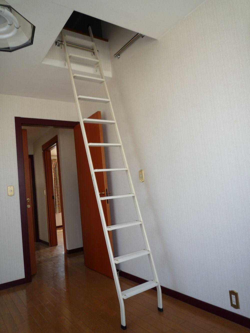 Other introspection. Ladder to the "loft"