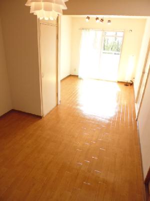 Living and room. It shines. Flooring.