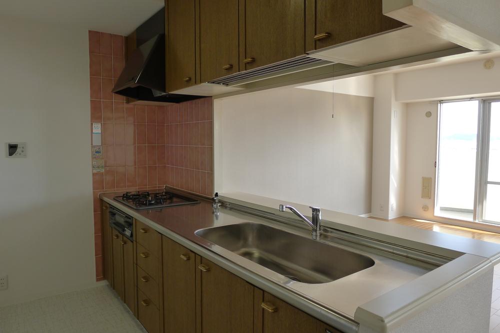 Kitchen. Indoor (12 May 2013) Shooting