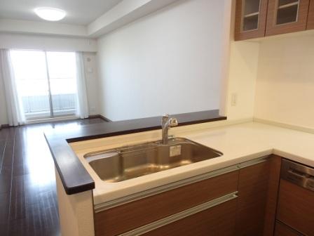 Kitchen. Indoor (June 2013) Shooting