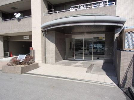 Entrance. Common areas