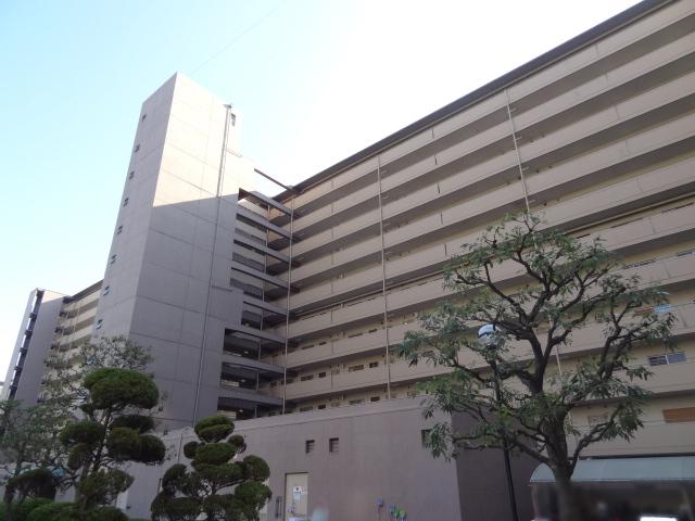 Local appearance photo. Local (11 May 2013) Shooting