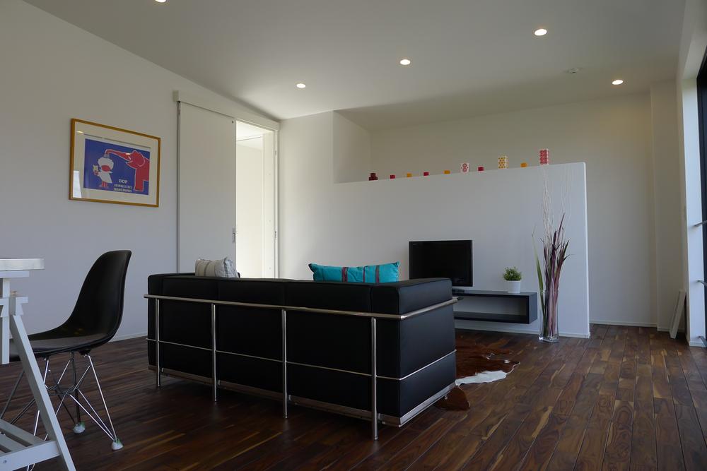 Living. Indoor (10 May 2013) Shooting