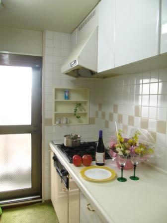 Kitchen. Indoor (12 May 2013) Shooting