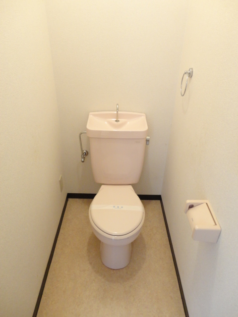 Toilet. Bright and spacious your toilet