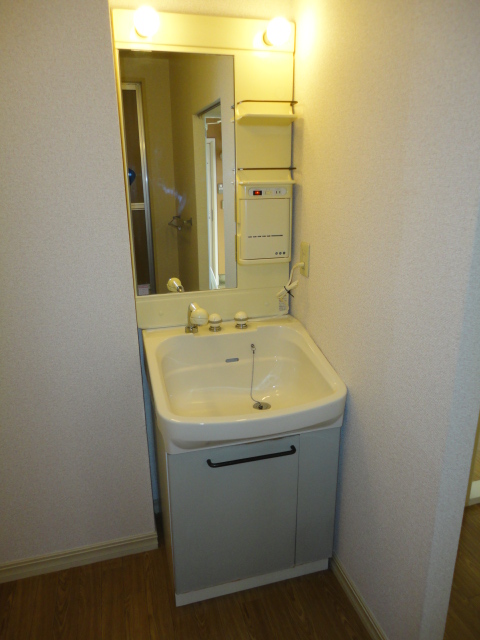 Washroom. With a large washbasin