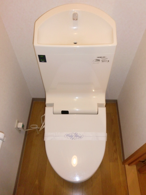 Toilet. Convenient hot water cleaning toilet seat function.