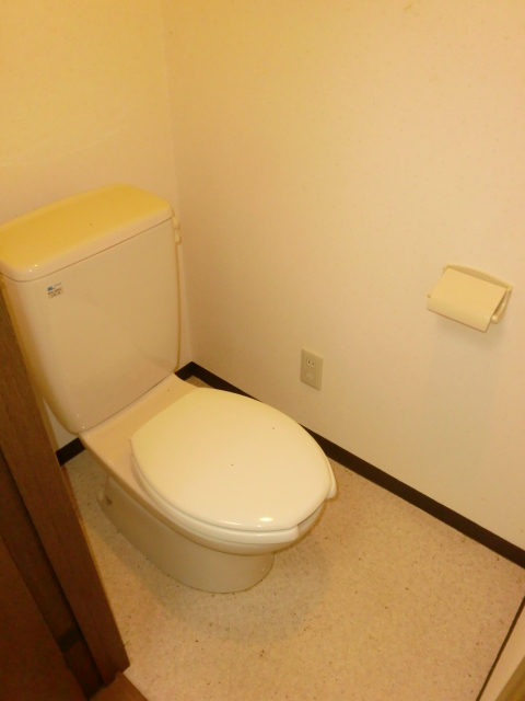 Toilet. Brightly, It is your toilet and spacious