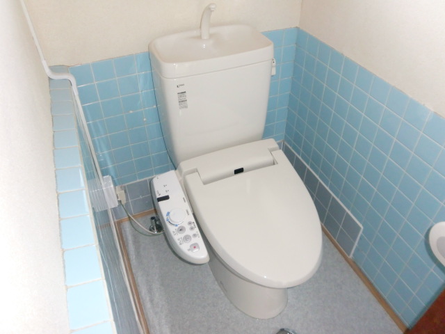 Toilet. Bright and spacious your toilet