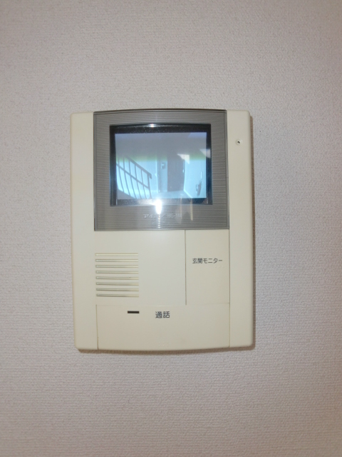 Security. TV intercom with