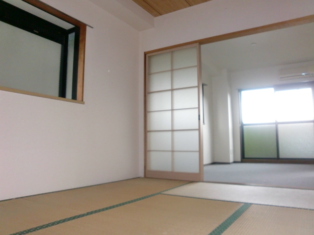 Living and room. Spacious Japanese-style