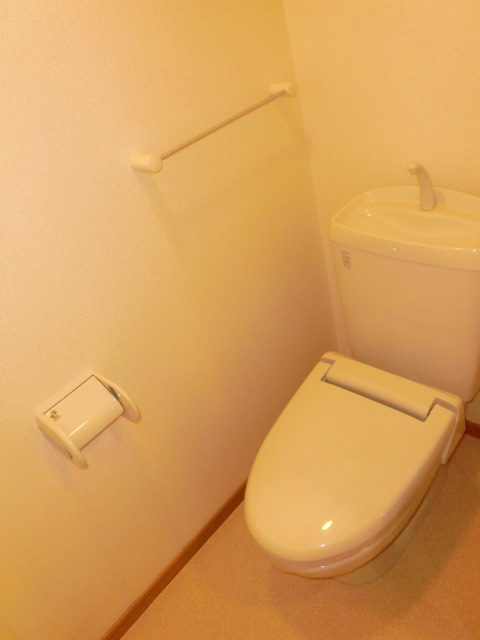 Toilet. Heating toilet seat, Always Pokkapoka