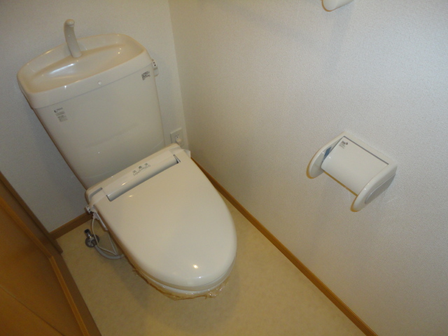 Toilet. Always Pokkapoka in heating toilet seat