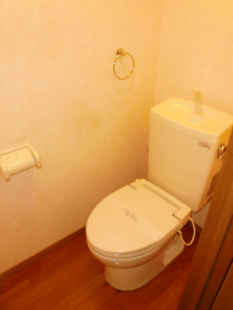 Toilet. Bright and spacious your toilet