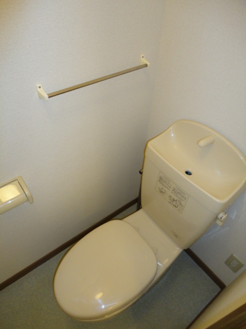 Toilet. Brightly, It is spacious toilet.