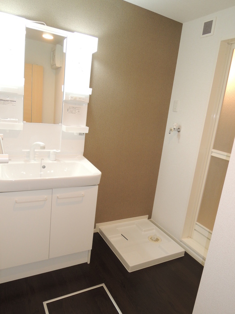 Washroom. Shampoo dresser with separate wash basin. Laundry Area is room