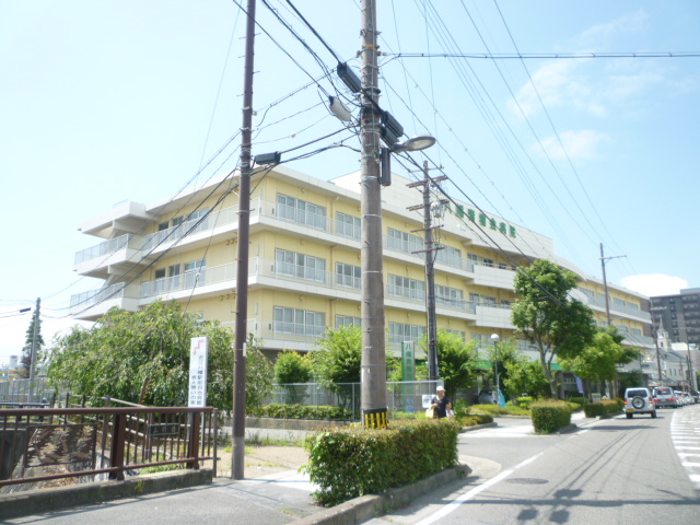 Hospital. (Goods) 211m to Seijukai Hachiman Seijukai hospital (hospital)