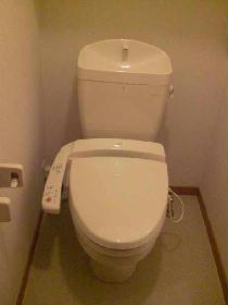 Toilet. Washlet comes