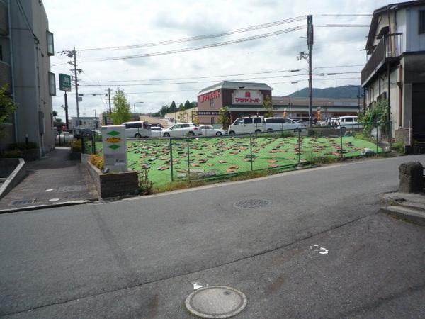 Local land photo
