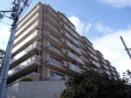 Local appearance photo. Local (10 May 2013) Shooting