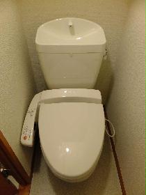 Toilet. With Washlet