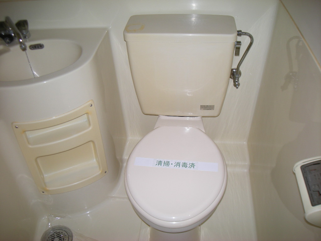 Toilet. Toilet