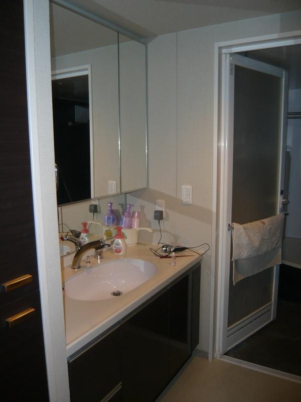 Wash basin, toilet. Indoor (January 2013) Shooting