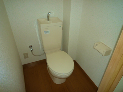 Toilet.  ※ Photo 307, Room