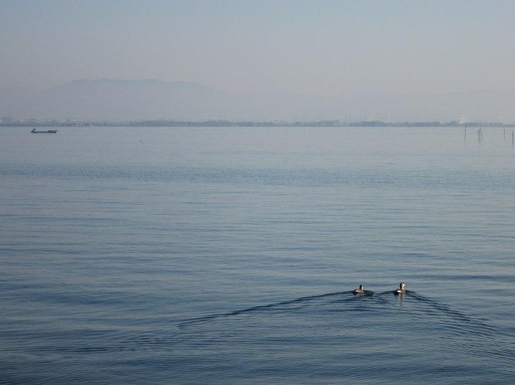 Other. About to Lake Biwa 100m