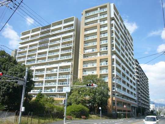 Local appearance photo. appearance