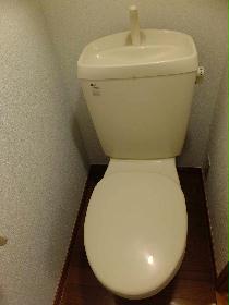 Toilet. separate