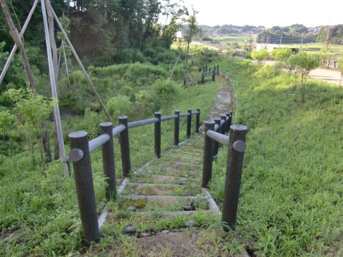 Other local. You can feel the four seasons while you walk the woods of nature observation! (Within the Ika-standing park)