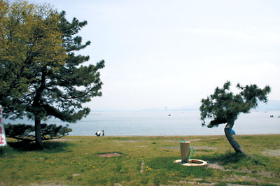 Other Environmental Photo. About 5 minutes of so if new Karasaki bicycle up to 1050m lake shore to the park, Go feel free to play. Guests can enjoy a dad and fishing on holiday, Or spread your lunch, Spend touch naturally fully of Lake Biwa