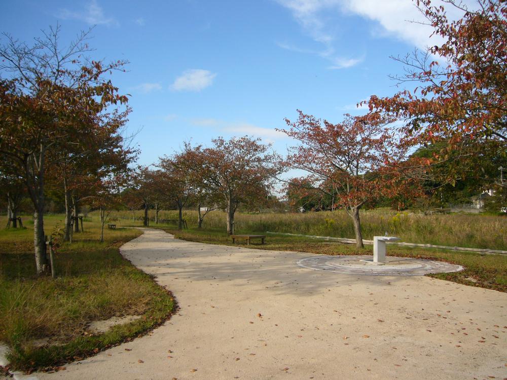 Other Environmental Photo. Until Tagami park 80m (1 minute walk) autumn leaves are beautiful promenade