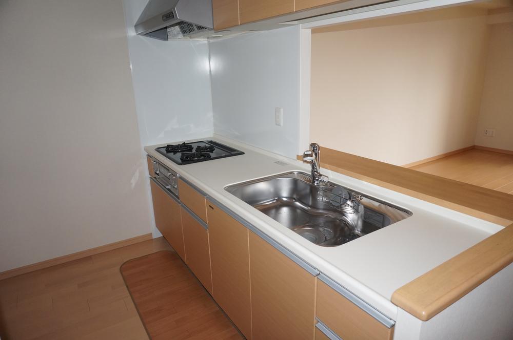 Kitchen. Indoor (12 May 2013) Shooting