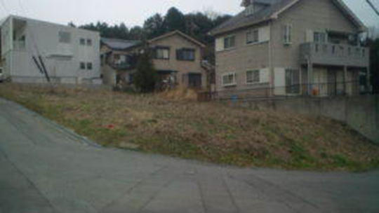 Local land photo. appearance