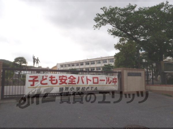 Primary school. Zeze 400m up to elementary school (elementary school)