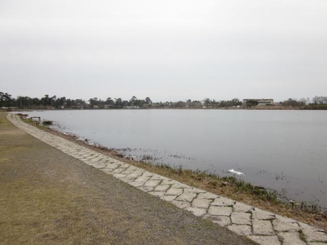 Other local. Omimaiko Kitahama swimming park