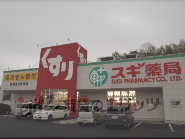 Dorakkusutoa. Cedar pharmacy Shinryo shop 1870m until (drugstore)