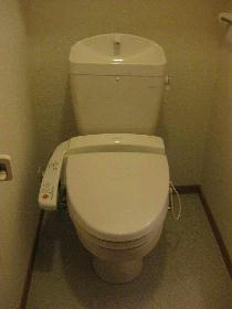 Toilet. I'm happy if there is a shelf also on with bidet ☆ 