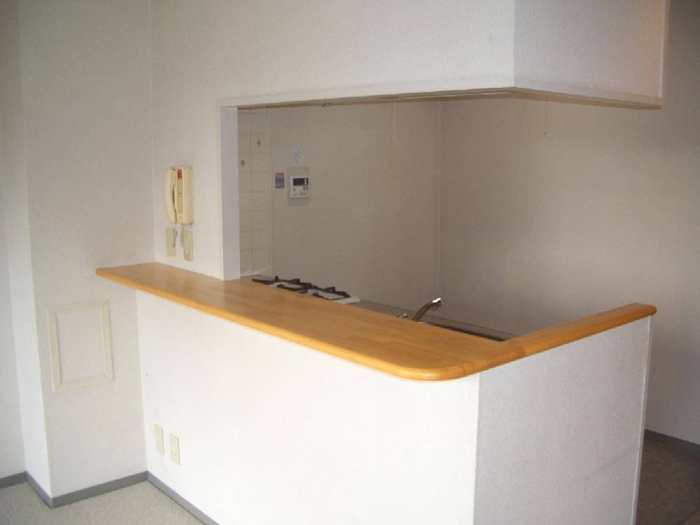 Other. Kitchen counter